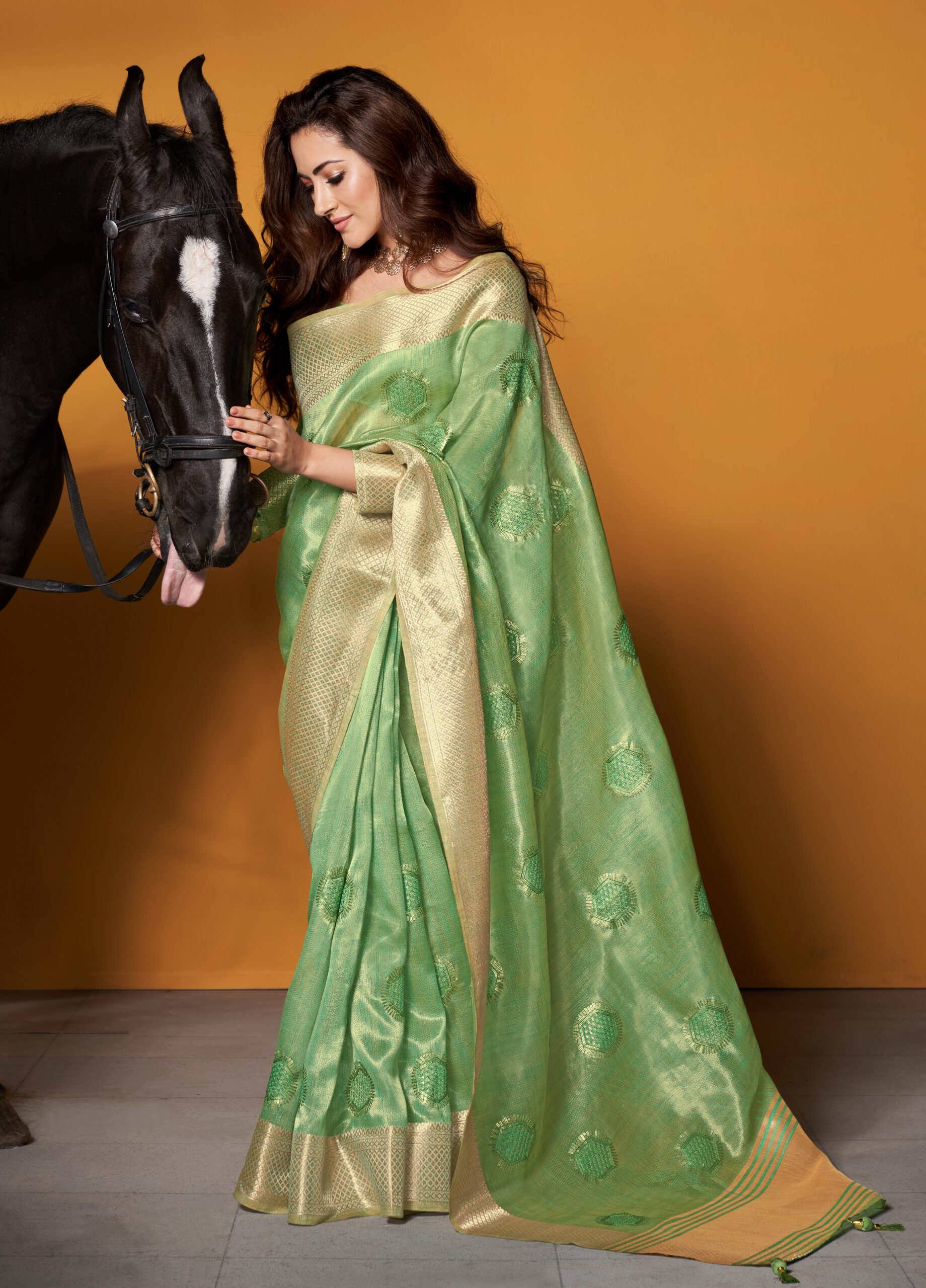 Buy Pure Tissue Sarees Online at Best Price | Taneira