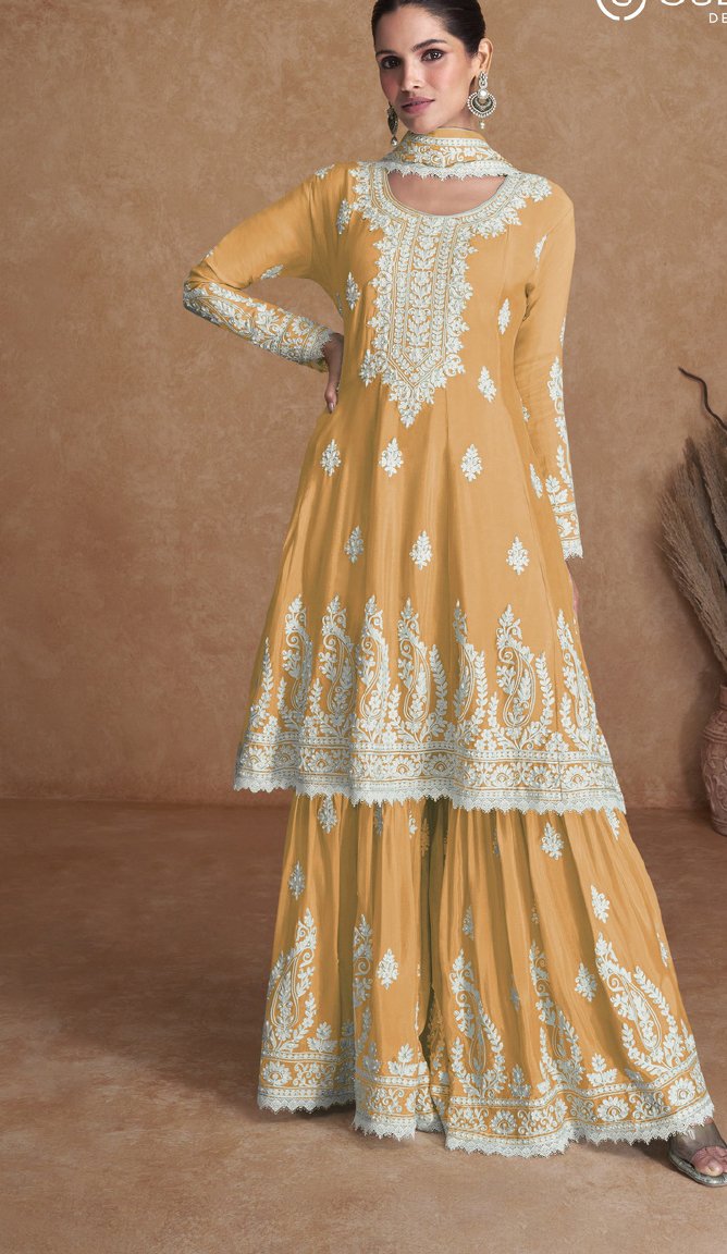 Designer Salwar kameez | Designer Punjab Suits | Pakistani Salwar Kameez |  Velvet dress long, Bridal lehenga choli, Party wear dresses