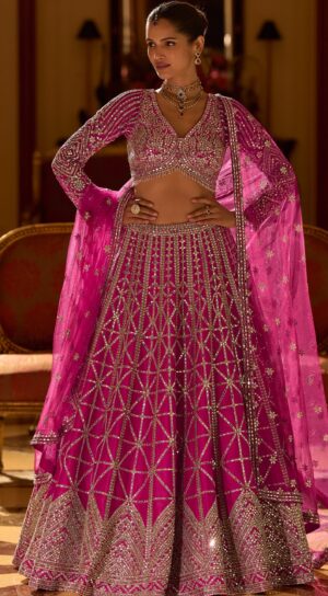 Modern Crop Top Blouse Designs for Lehenga