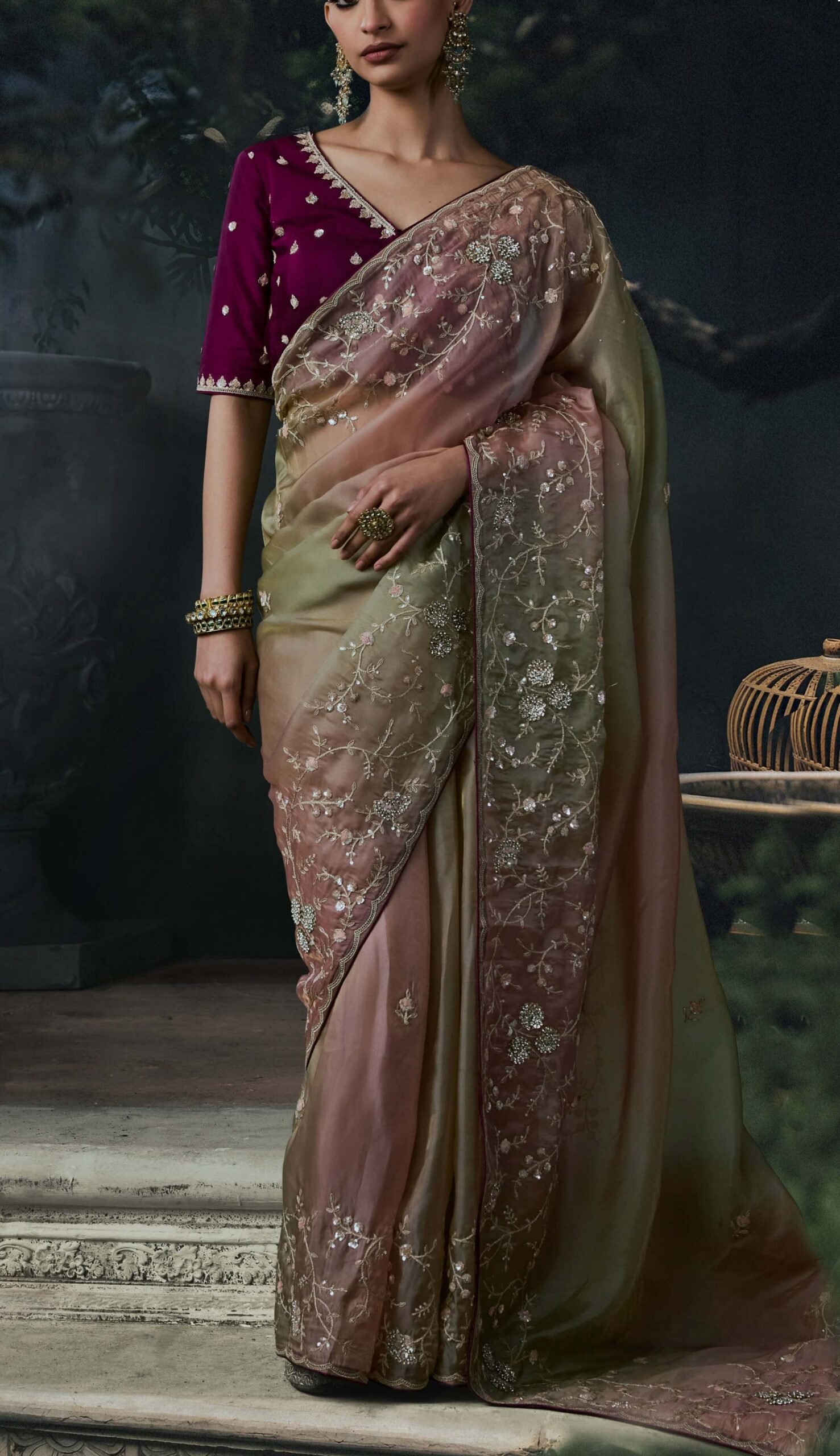 Brown Party Wear Saree with Contrast Designer Blouse